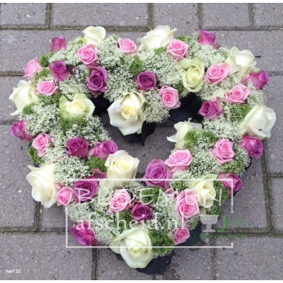 Witte en twee kleuren roze rozen in open hartvorm